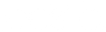 Leesi B. Logo