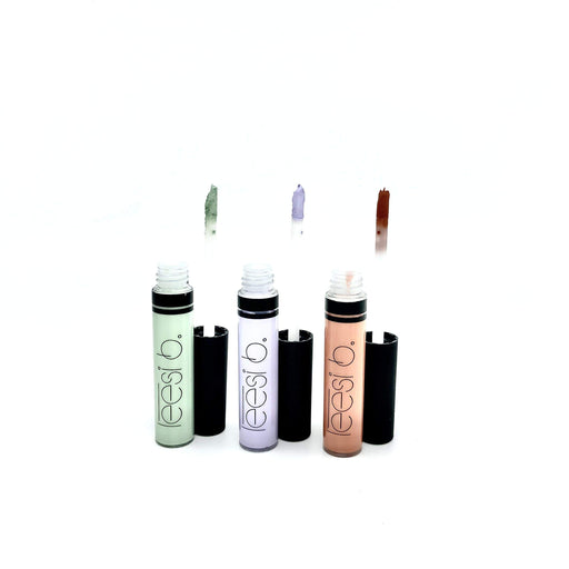 The Camouflage Concealer Kit