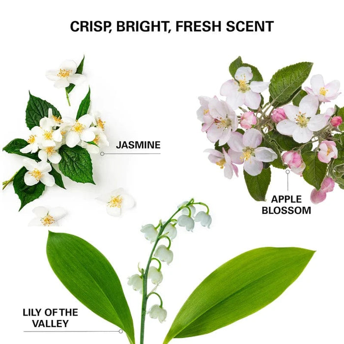 Hair Treatment Insta-WOW Advanced Dry Shampoo Color Wow