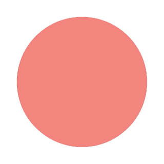 Blush Cheek Trick Double Duty Lip & Cheek Cream Leesi B.