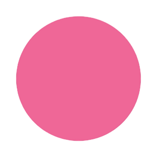 Blush Flash Of Fuschia Double Duty Lip & Cheek Cream Leesi B.