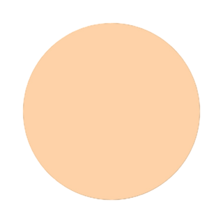 Face Foundation C25 Flawless Finish Foundation Leesi B.