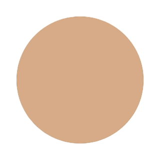 Face Foundation C45 Flawless Finish Foundation Leesi B.
