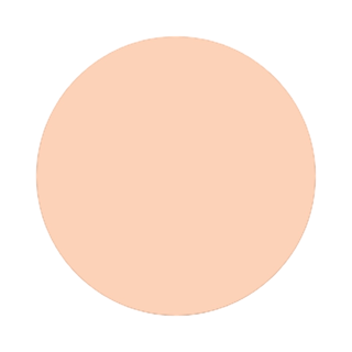 Face Foundation N4 Flawless Finish Foundation Leesi B.