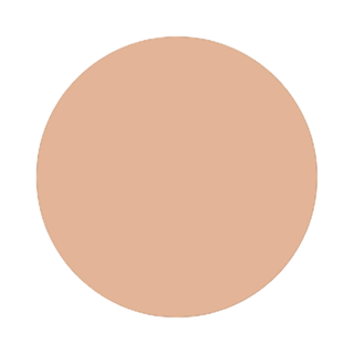 Face Foundation N5 Flawless Finish Foundation Leesi B.