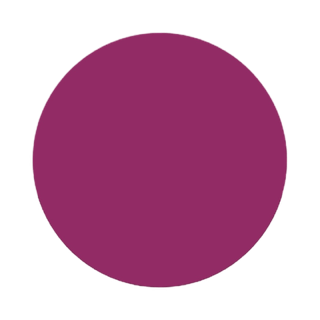 Lip Gloss Soaked Vinyl Lip Laquer Leesi B.